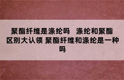 聚酯纤维是涤纶吗   涤纶和聚酯区别大认领 聚酯纤维和涤纶是一种吗